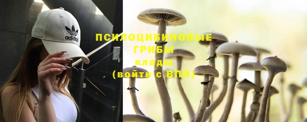 бошки Армянск