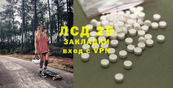 spice Аркадак