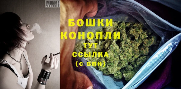 шишки Рославль