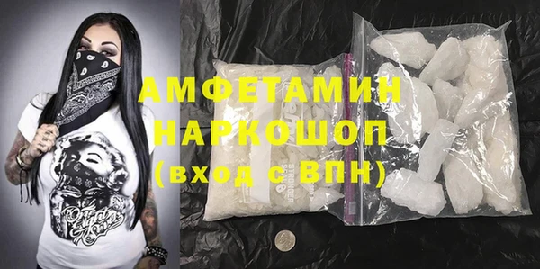 шишки Рославль