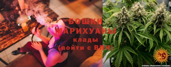spice Аркадак