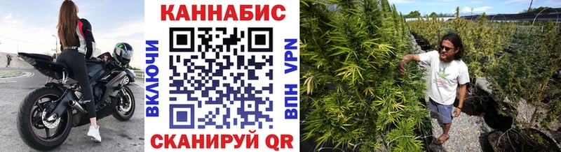 Каннабис OG Kush  купить наркоту  Сясьстрой 